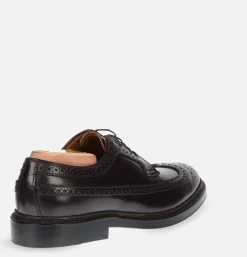 975 - Long Wing Cordovan