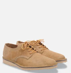 3302 - Weekender Oxford