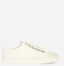 Basket Star Master White