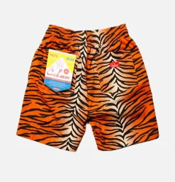 Chef Short Tiger