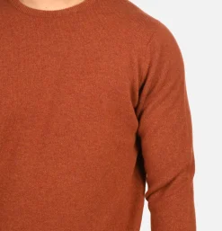 Pull Col Rond Tiger